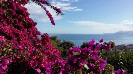 Cure stress, anxiety and depression